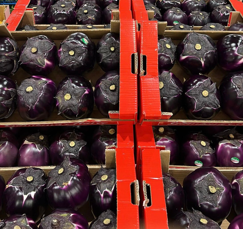 AUBERGINE PALE