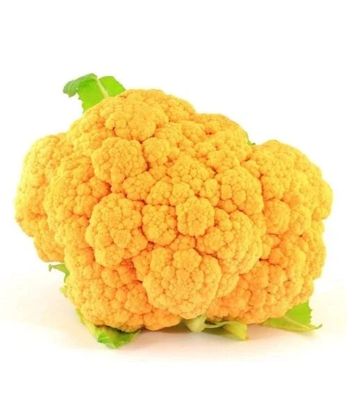 CAULIFLOWER YELLOW