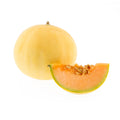 MELON ZERBINATI X 6