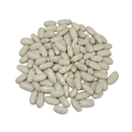 BEANS WHITE