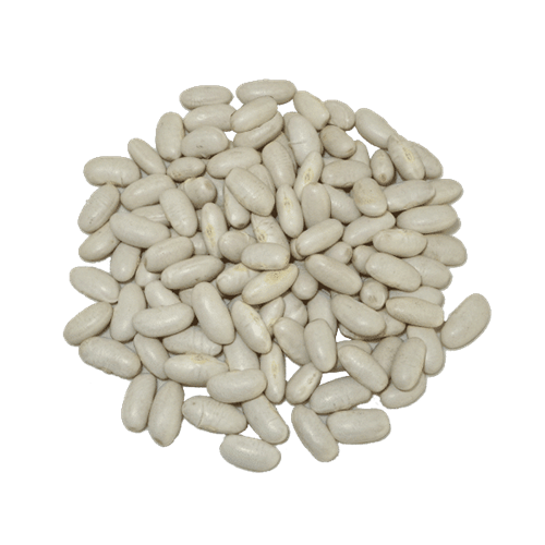 BEANS WHITE