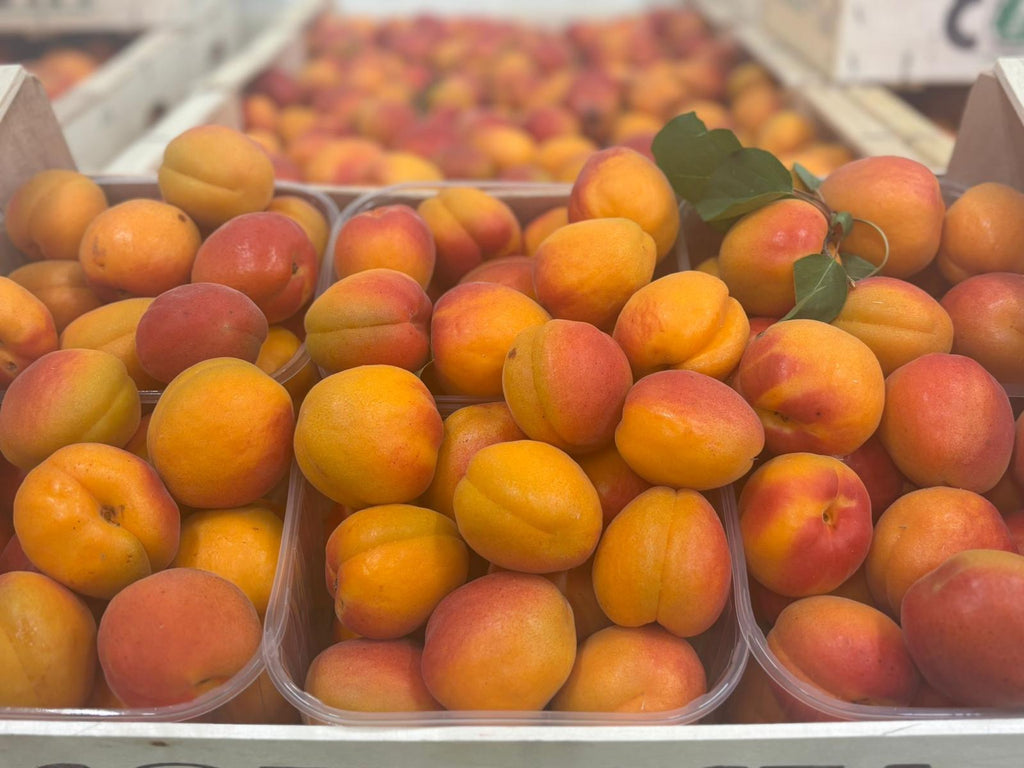 APRICOT