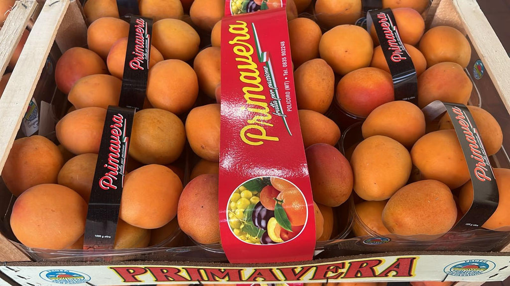 APRICOT PUNNET