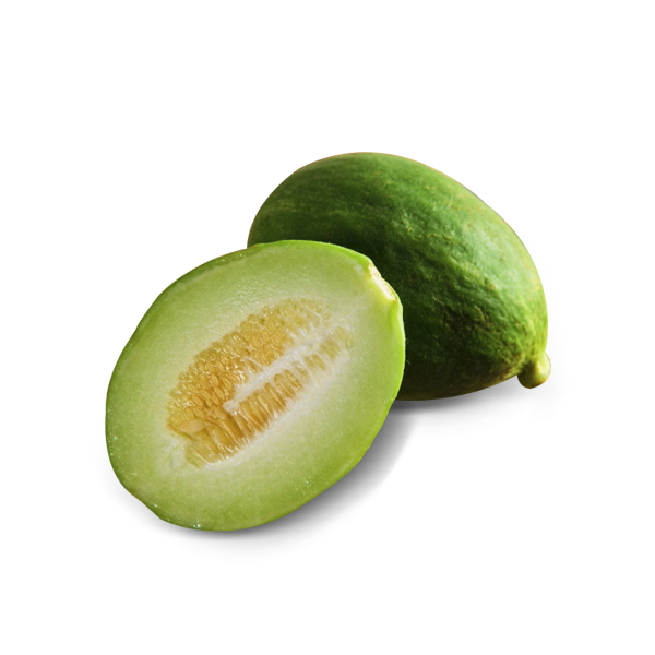 CUCUMBER BARATTIERE