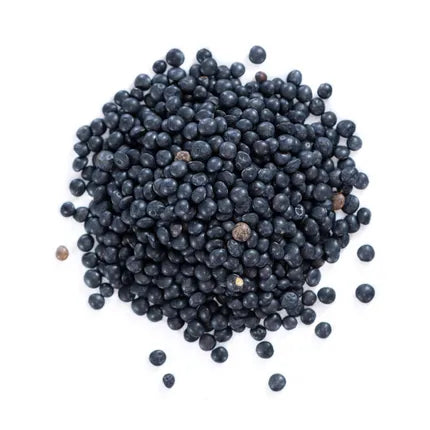 DRY LENTILS BLACK
