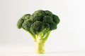 BROCCOLO