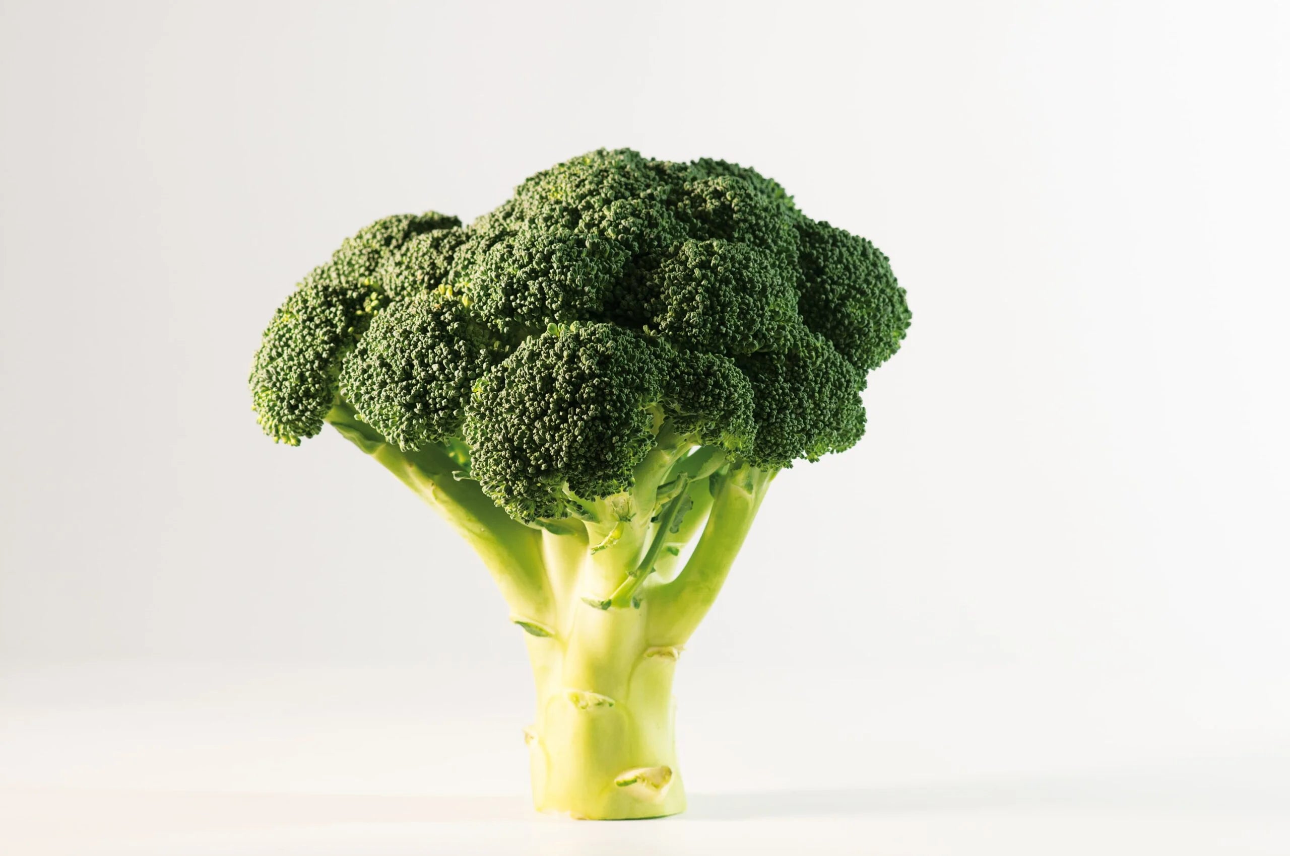 BROCCOLO