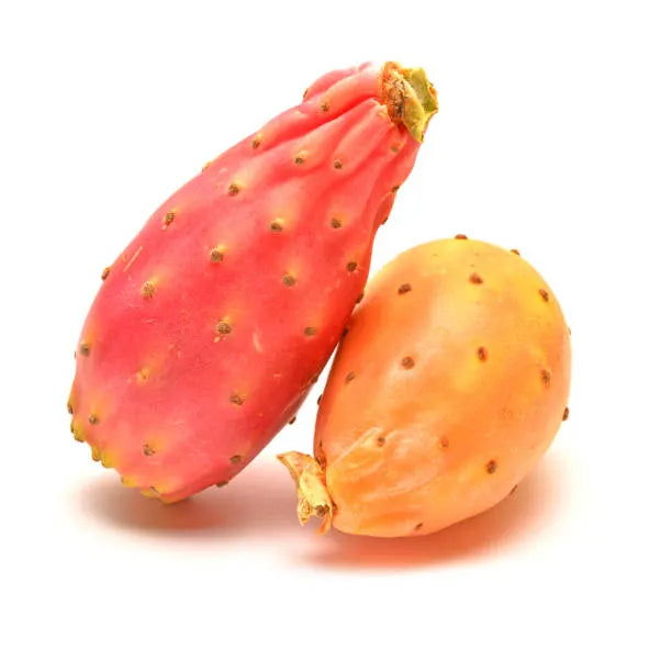 PEARS PRICKLY CAL. 16