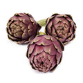 ARTICHOKES PRE PACKED PUNNETS