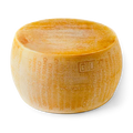 CASTELLI Parmigiano Reggiano 24-month aged cheese wheel, round, golden rind