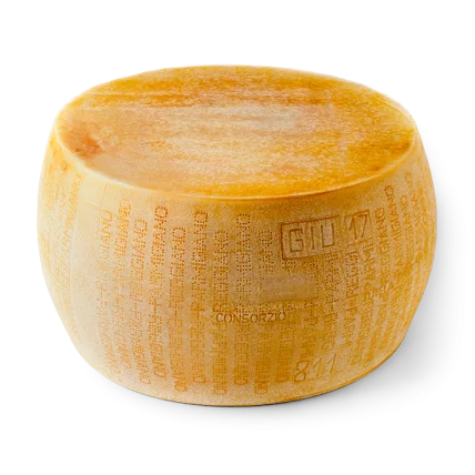 CASTELLI Parmigiano Reggiano 24-month aged cheese wheel, round, golden rind