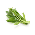 CIMA DI RAPA MERIDIONALE