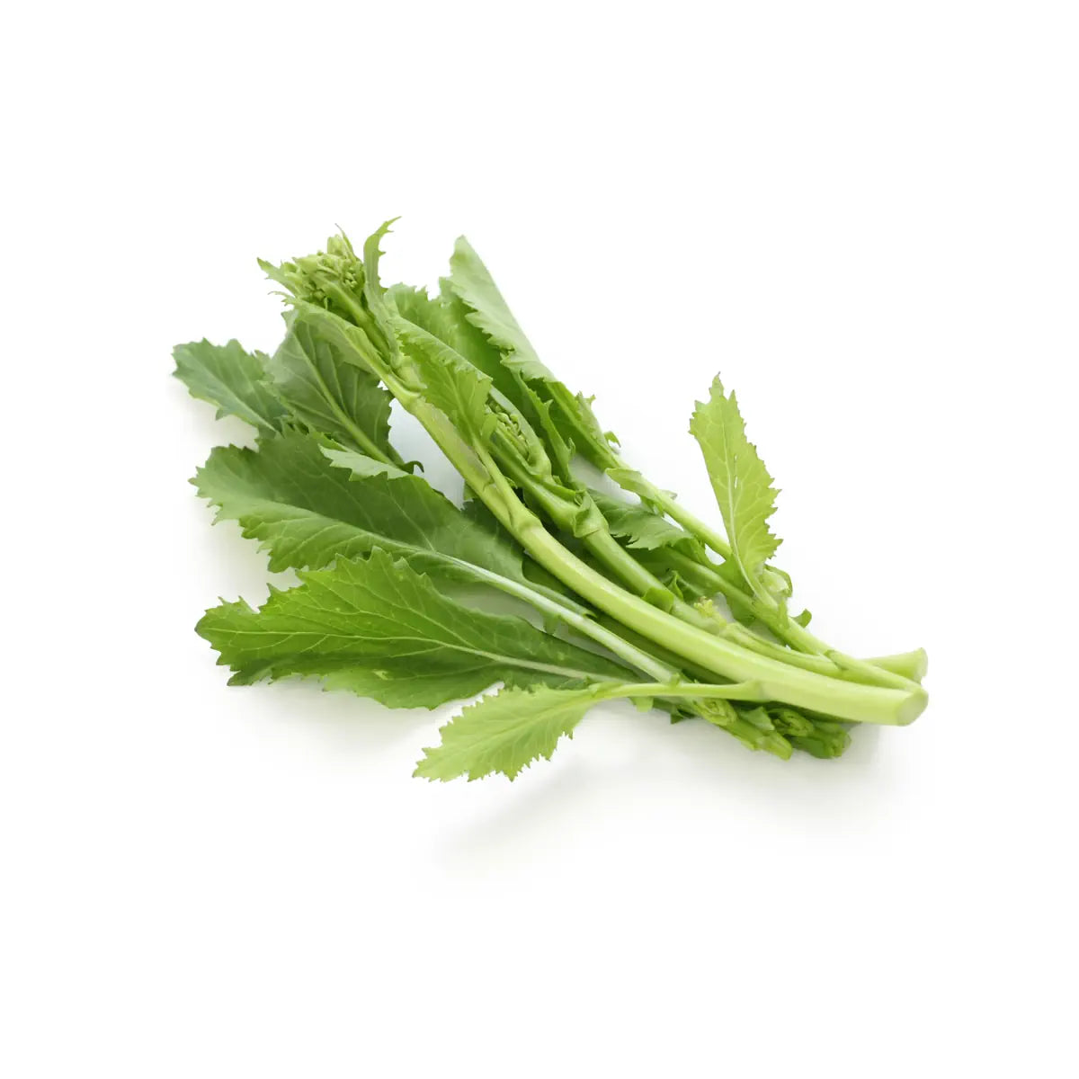 CIMA DI RAPA MERIDIONALE
