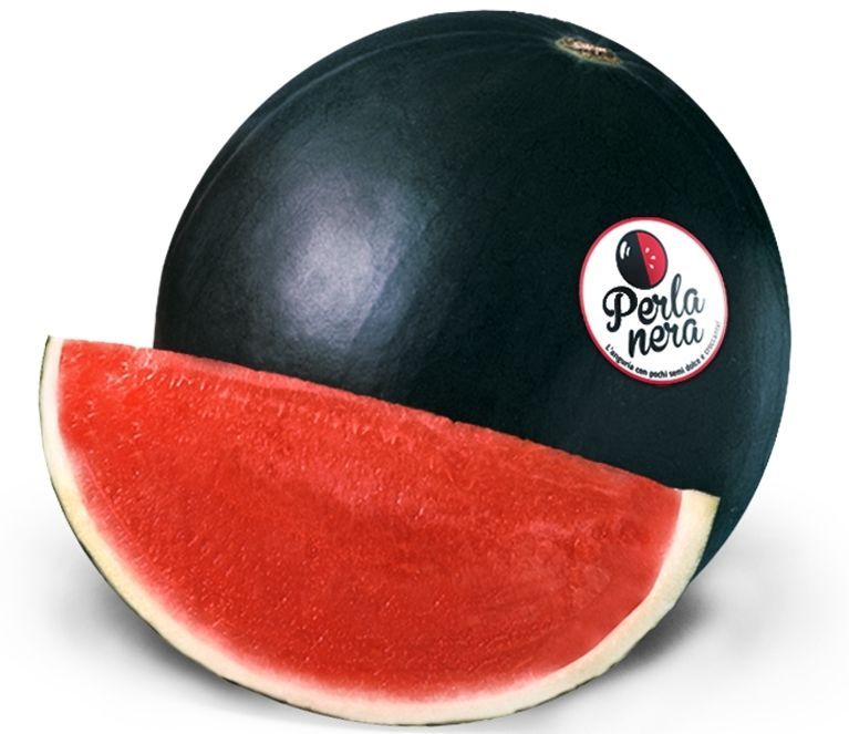 WATERMELON PERLA NERA