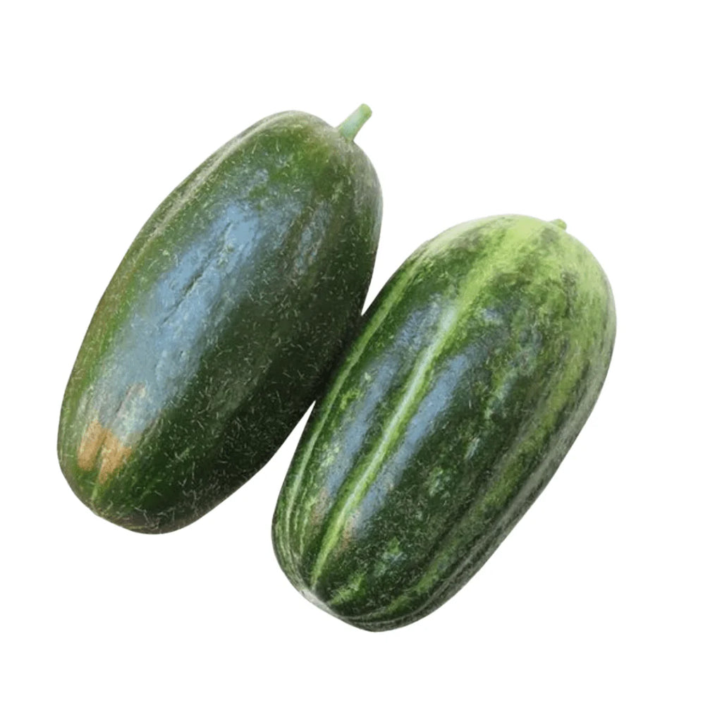 CUCUMBER CAROSELLO
