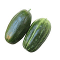 CUCUMBER CAROSELLO