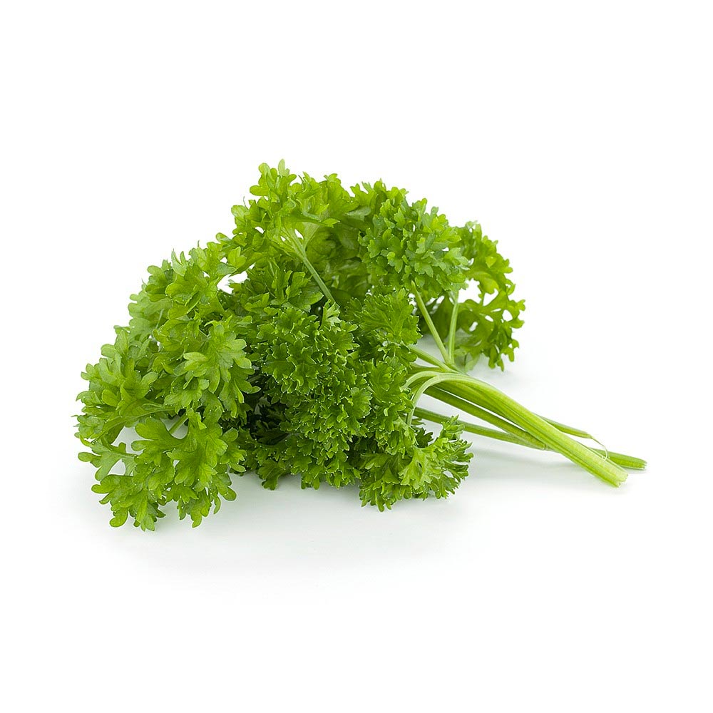 PARSLEY CURLY