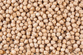 DRY CHICKPEAS 5KG