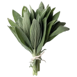 Sage, a few leaves