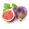 FIGS LEAVES