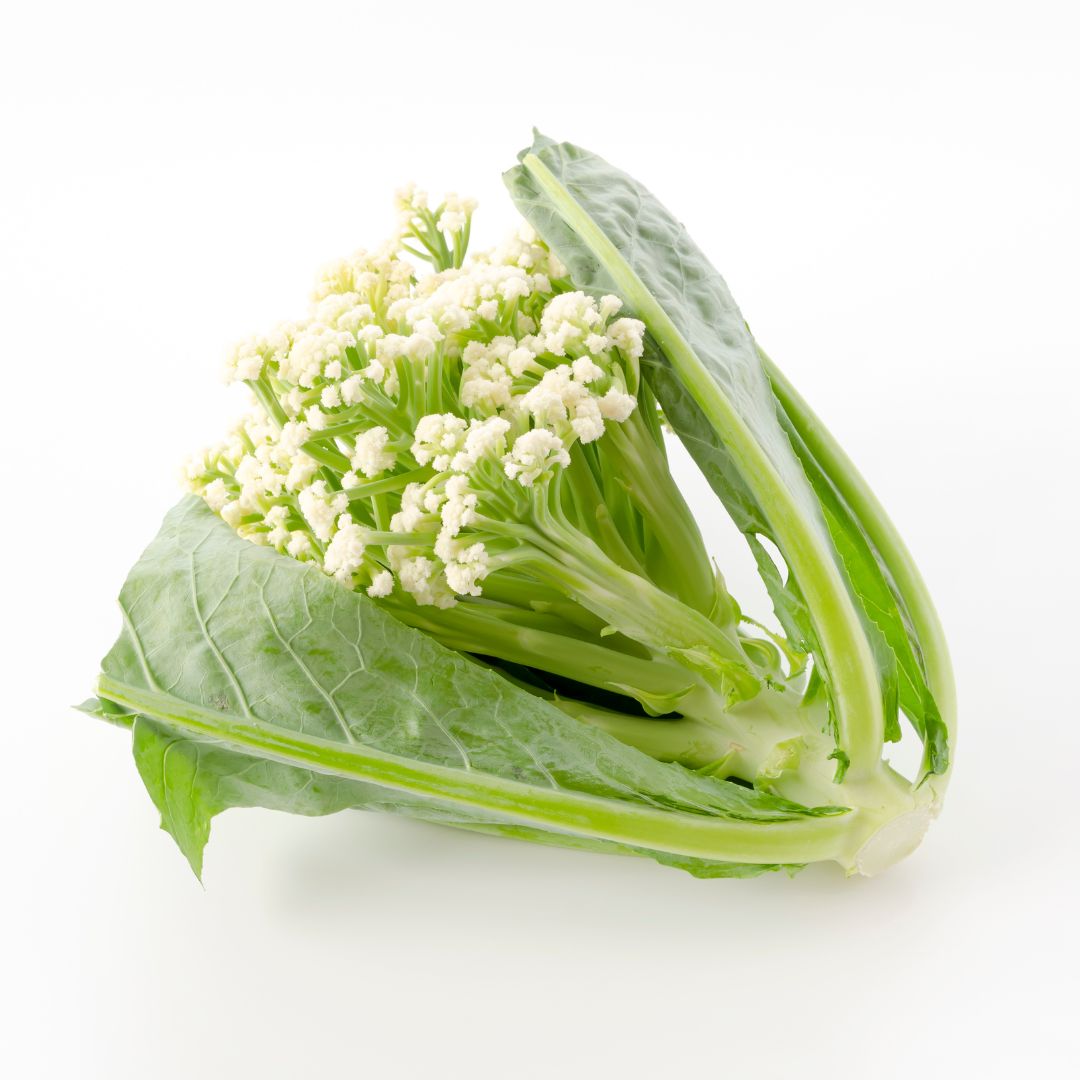 CABBAGE FIORETTO