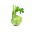 KOHLRABI