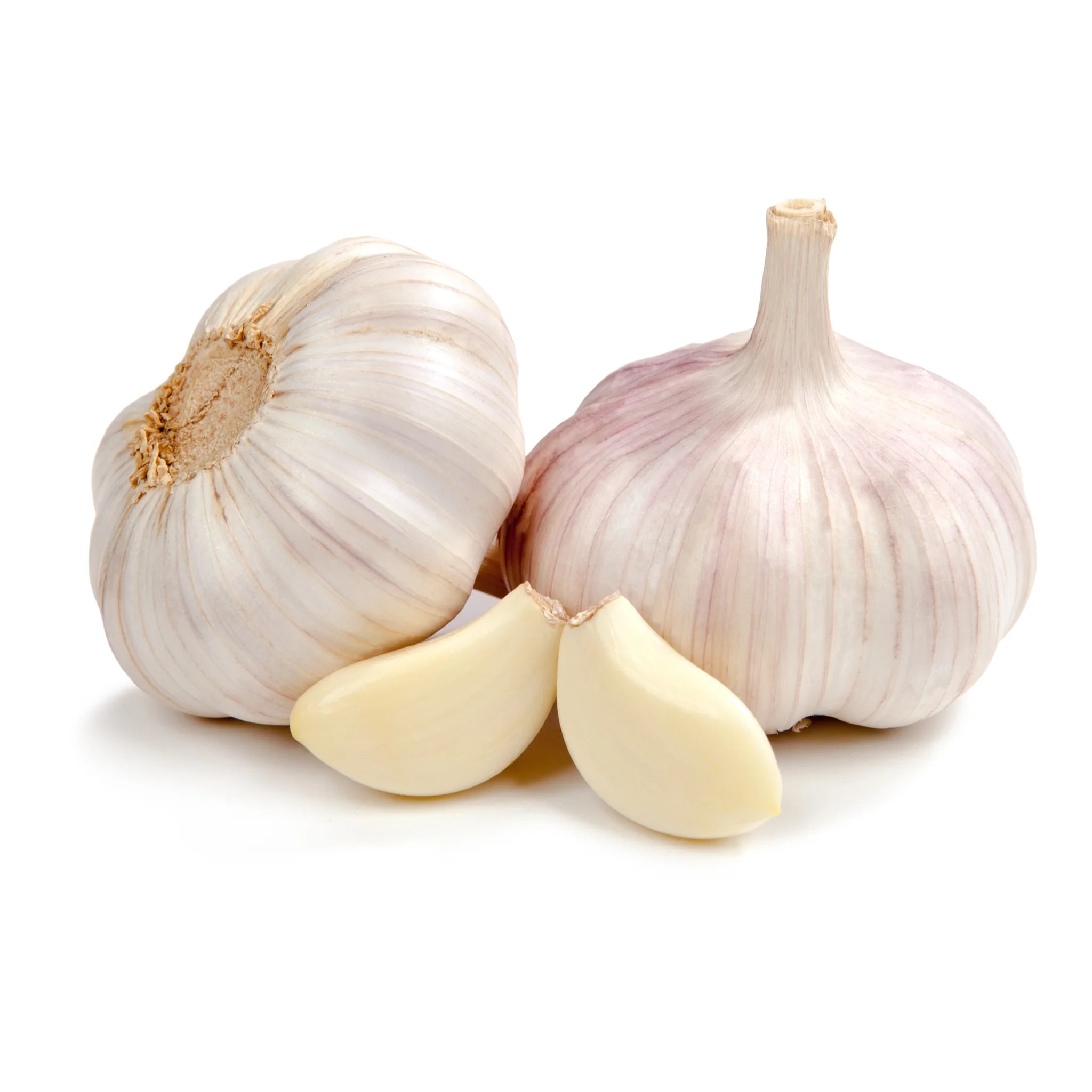 GARLIC WHITE