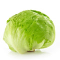 LETTUCE ICEBERG