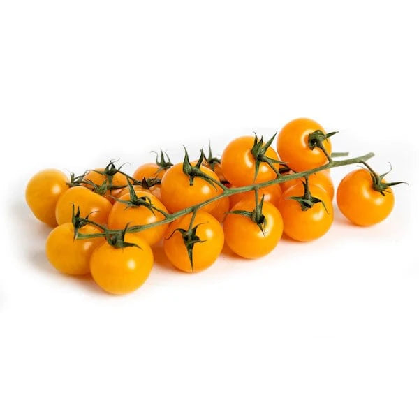 TOMATO CHERRY VINE ORANGE