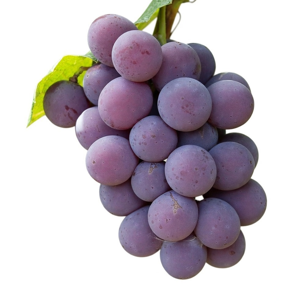 GRAPES STRAWBERRIES FRAGOLA