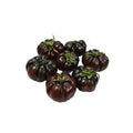 TOMATO SUNBLACK MERINDA PUNNET