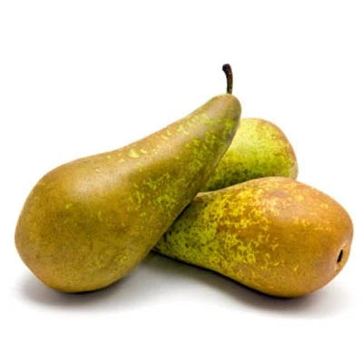 PEARS CONFERENCE