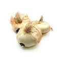 ONION GIARRATANA