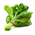 SPINACH LEAVES