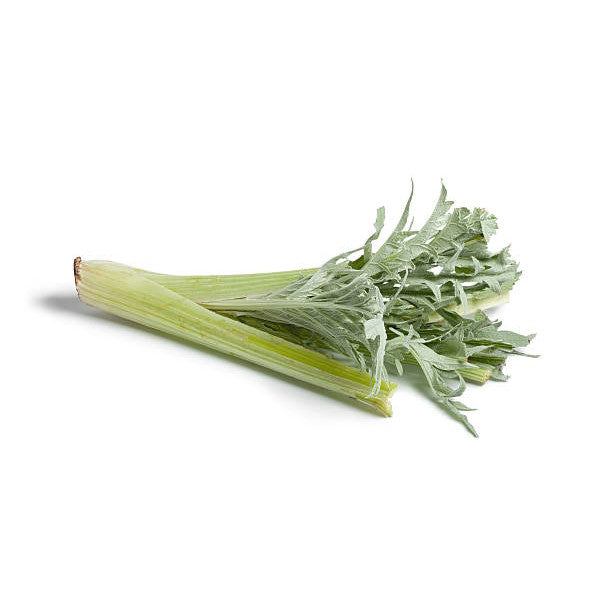 CARDOON