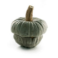 SQUASH MANTOVA
