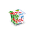 NONNO NANNI ROBIOLA 10X100G
