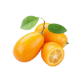 KUYMQUAT LEAFY