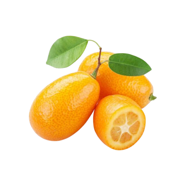 KUYMQUAT LEAFY