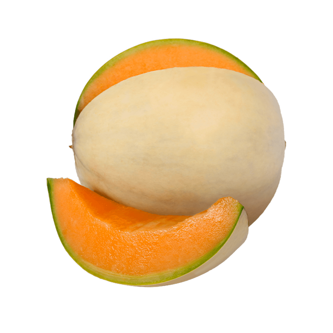 MELONS SMOOTH WAX TIP X 6 PCS