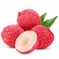 LITCHIS SICILY