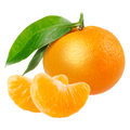 MANDARINO