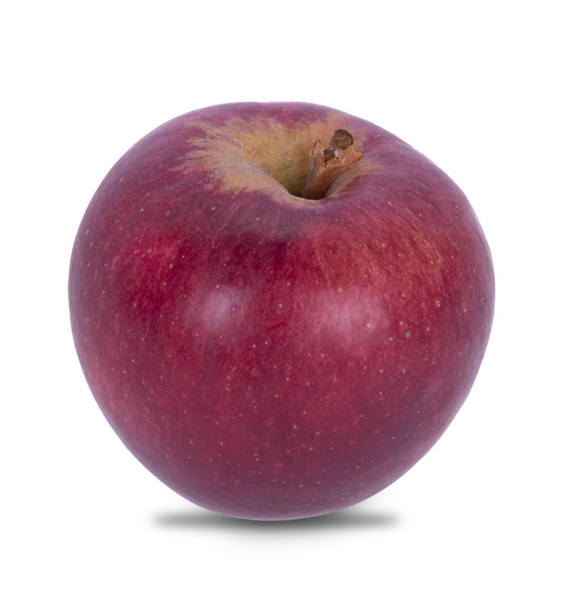 APPLE ANNURCA
