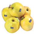 APPLE MELINDA GOLDEN