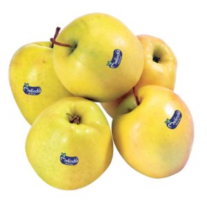 APPLE MELINDA GOLDEN