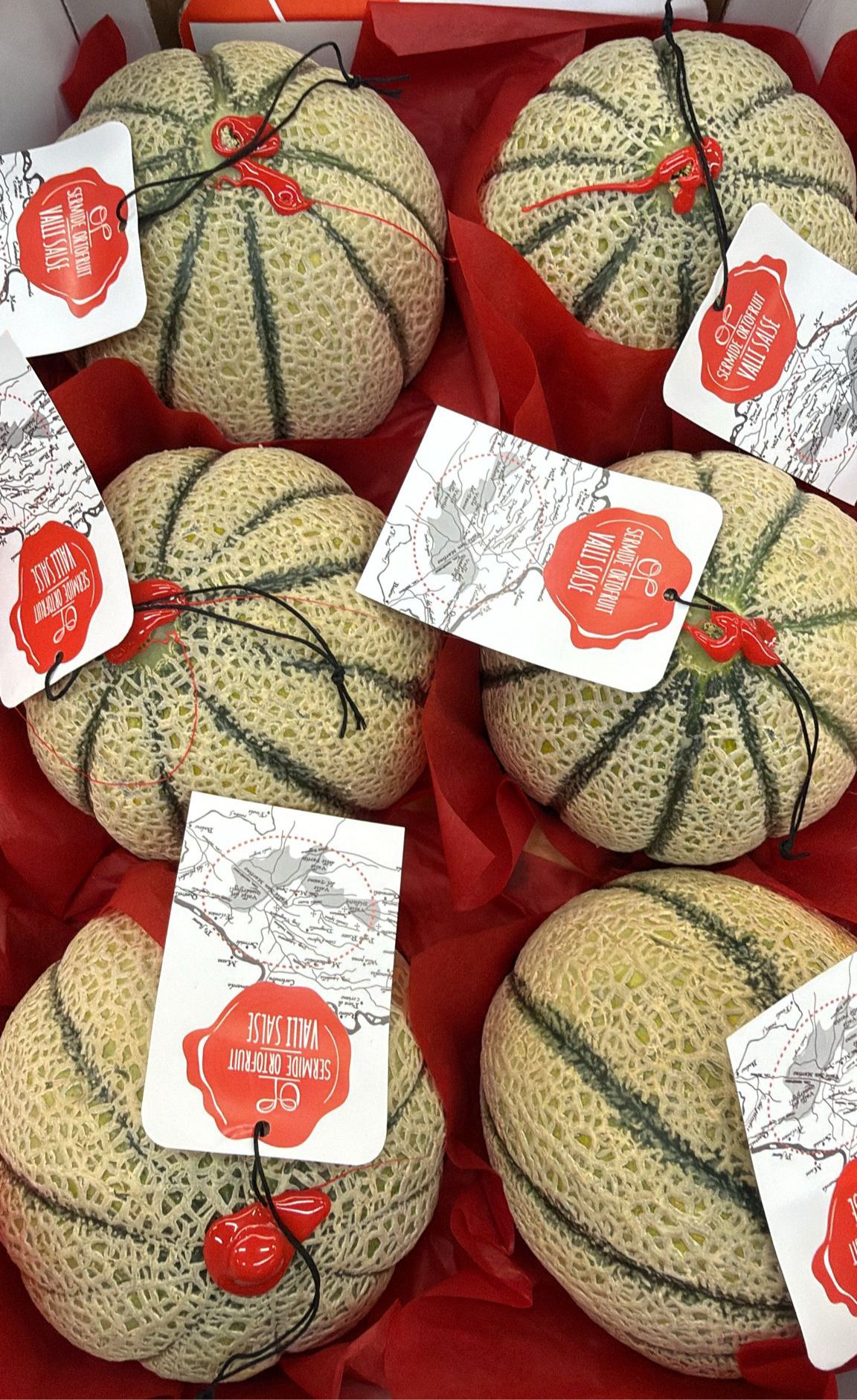 Assorted oval light-green melons with textured rind, red ribbons, and attached tags