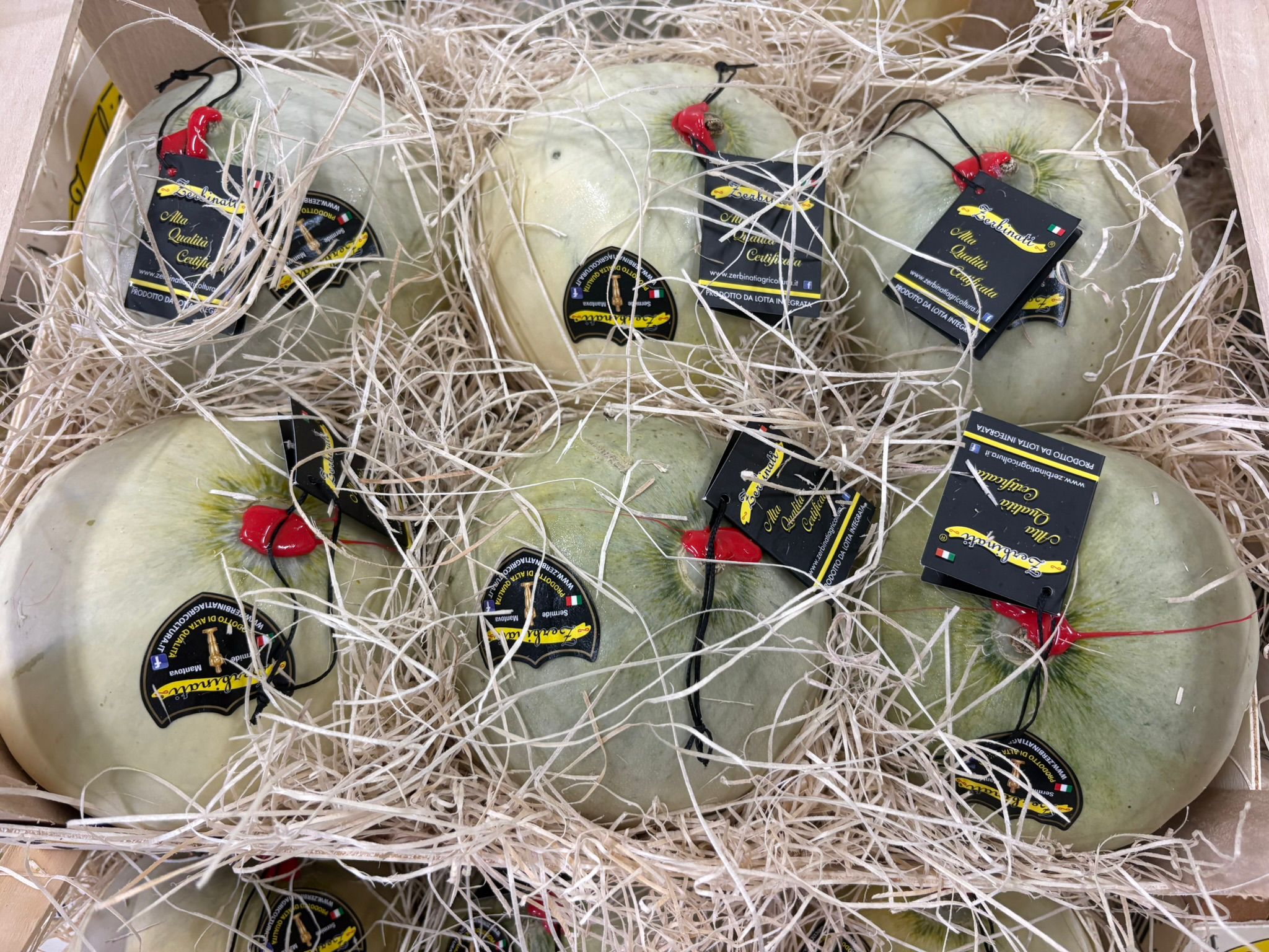 Six netted green melons with black labels and red ties in straw