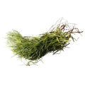 MONKS BEARD
