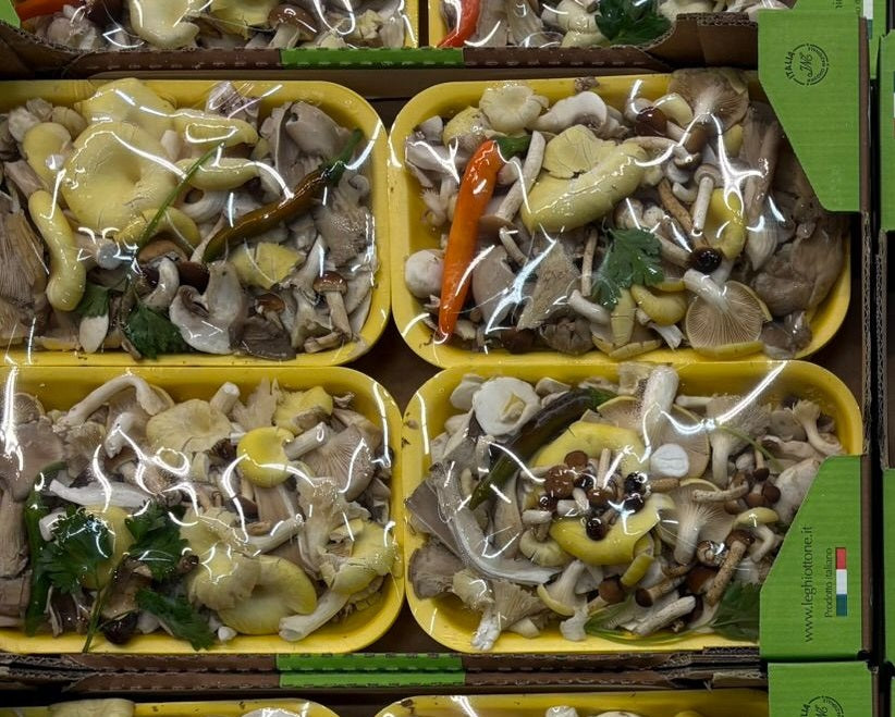 MUSHROOM MIX X 4 PUNNET