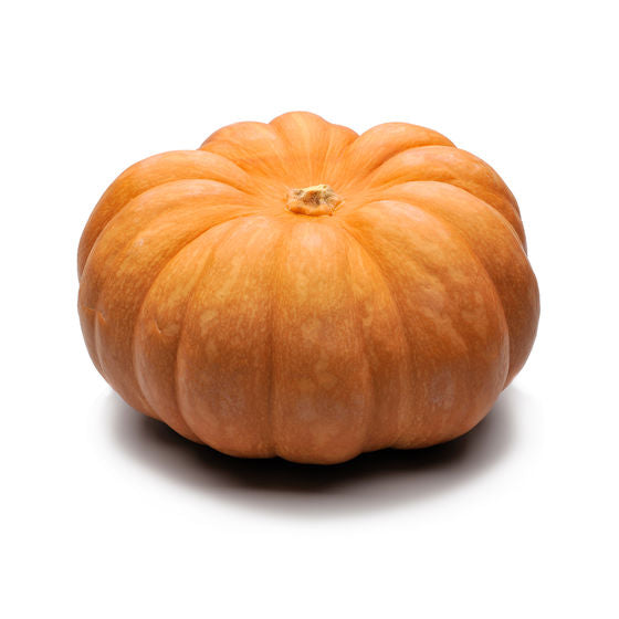 SQUASH MUSCAT